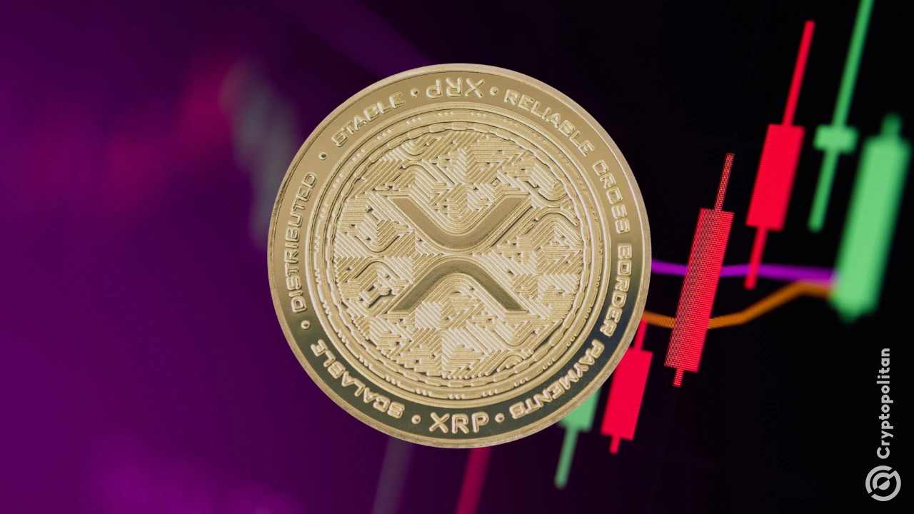 XRP超过系绳是第三大加密货币