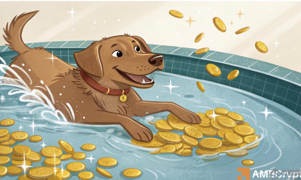 为什么邦克的下一次突破尝试可能是一个关键的转折点