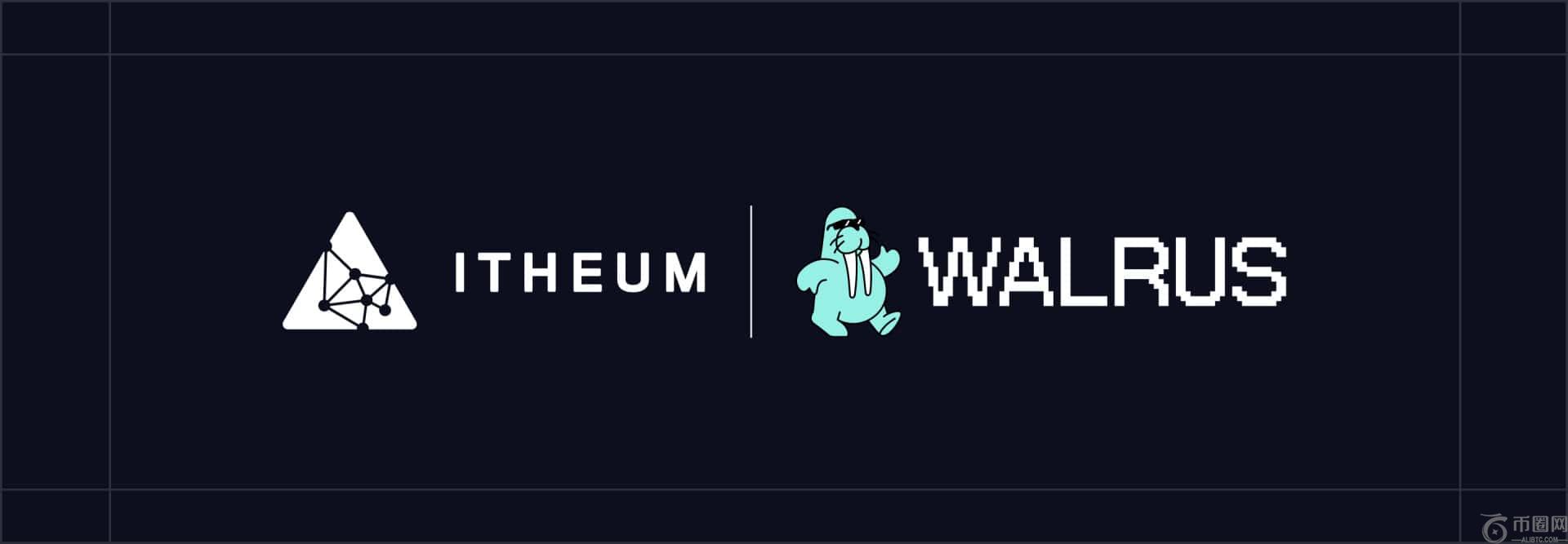 数据令牌协议与海象合作