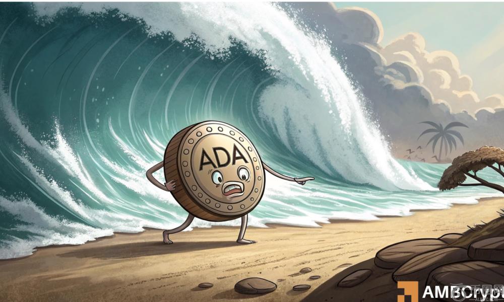 Cardano最近的举动：“泵和垃圾箱”还是更大的集会的设置？