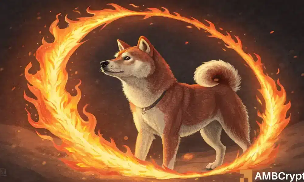 燃烧的20m洗砂锅：为什么什巴·伊努（Shiba Inu）的价格继续挣扎？