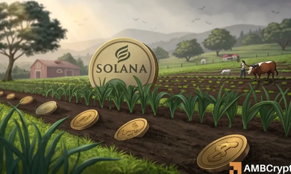 大规模的索拉纳（Solana