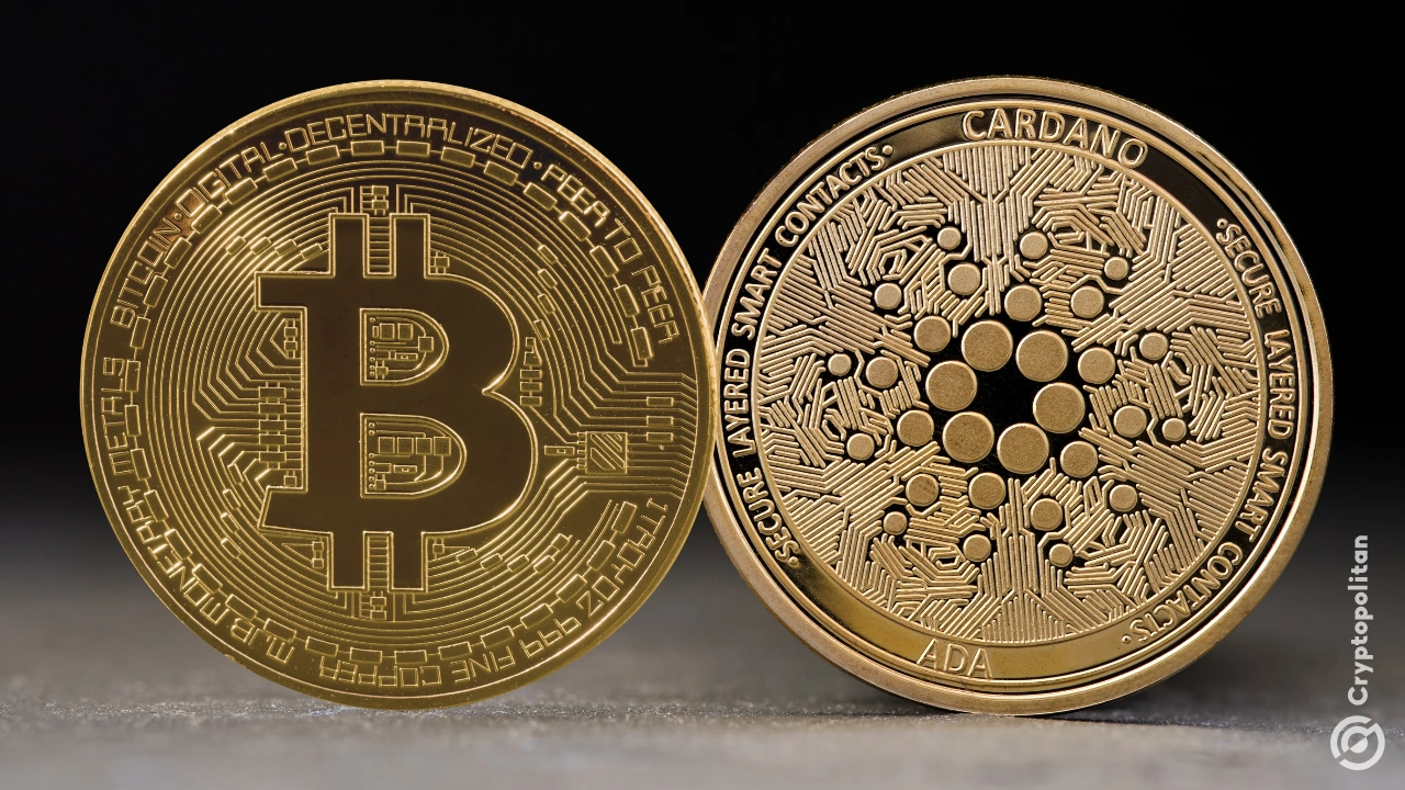 Farcaster的Dan Romero预测，美国政府的加密储备只保留被没收的资产-BTC，XRP，ADA-并且不进行新购买