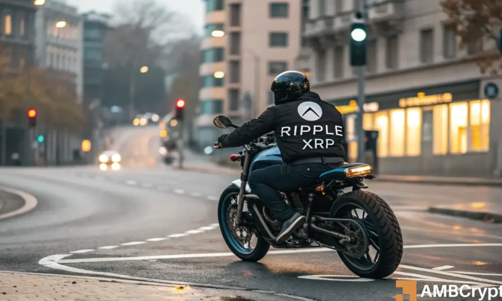 增长8％ - XRP的价格反弹，但是这次鲸鱼有发言权吗？