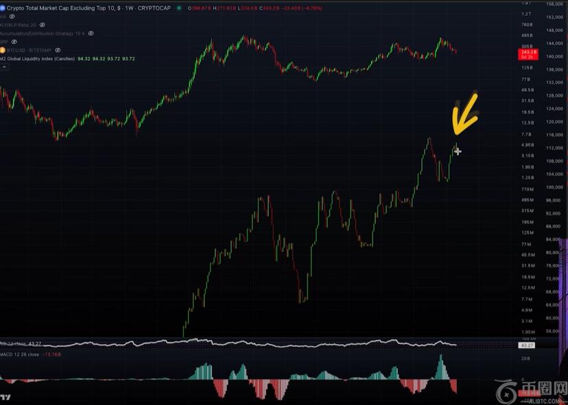 加密货币分析师凯文·斯文森：全球流动性突破或推动AltCoins大幅上涨
