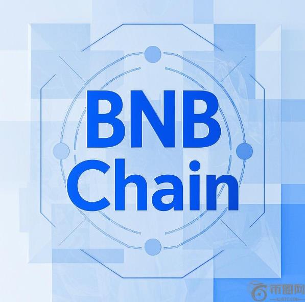 赵长鹏爱犬引爆Meme币狂潮！Broccoli代币1枚BNB爆赚670万美元背后的BNB Chain生态逻辑