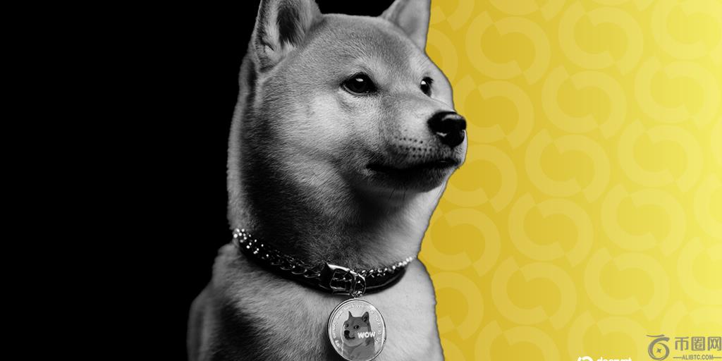 Coinbase 最终解决了狗狗币抽奖诉讼