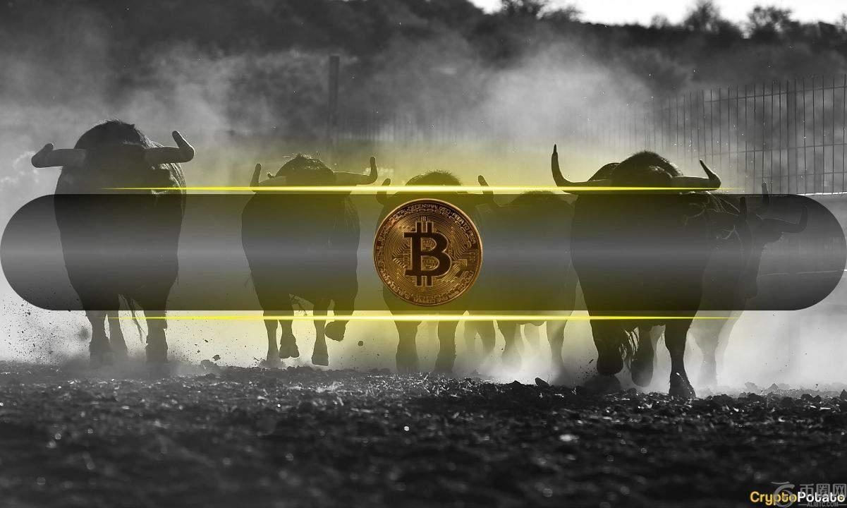 分析师：比特币价格维持在六位数以上，各项指标将延续牛市