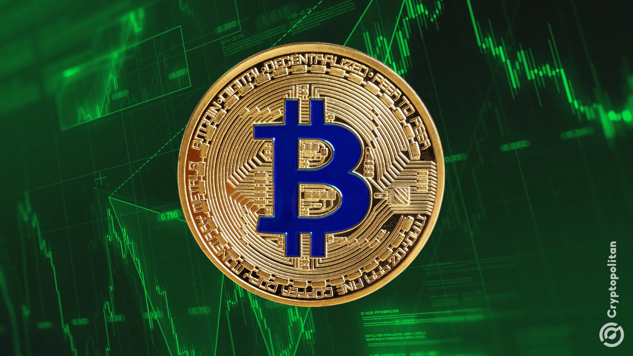 比特币购买压力创历史新高