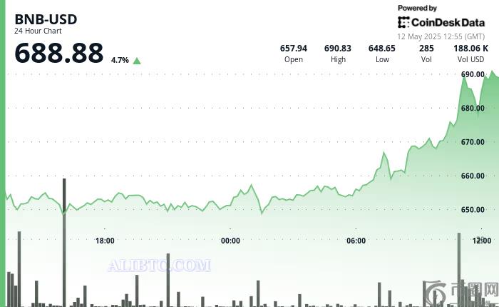 币安币BNB价格飙升近5%，强劲交易量支撑表明机构正在增持