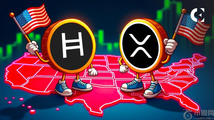 XRP 和 HBAR 是美国的加密货币巨头，但其中一个仍被低估