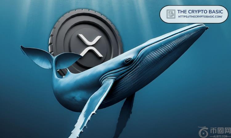 XRP在价格上涨中迎来511430个钱包，2365笔鲸鱼交易