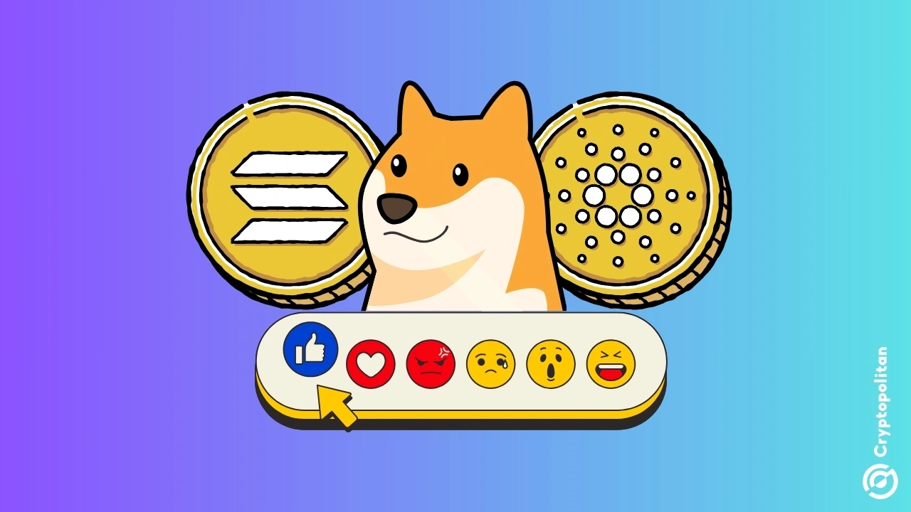 Santiment数据显示，对Solana、Dogecoin和Cardano的积极情绪正在形成