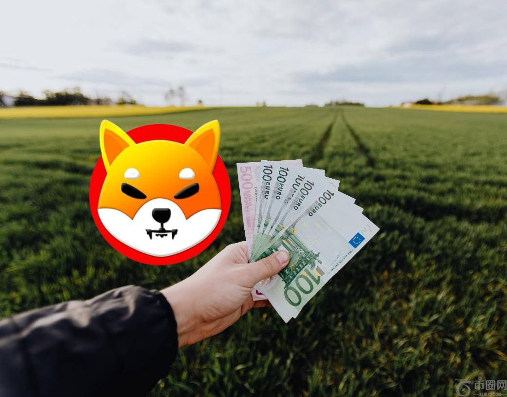 Shiba Inu：100美元的SHIB投资如何变成1800万美元