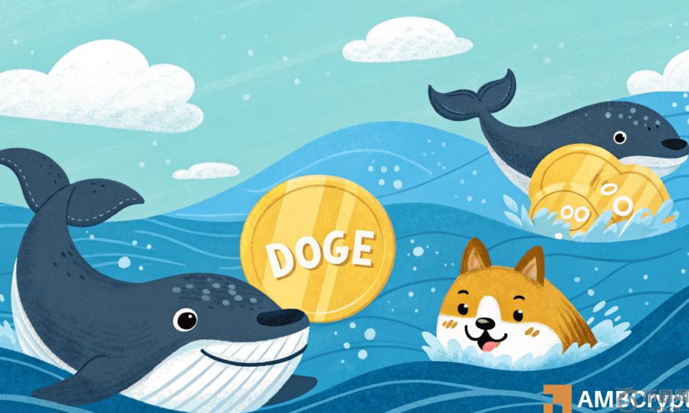 狗狗币：鲸鱼能帮助DOGE下一步达到0.50美元的目标吗？