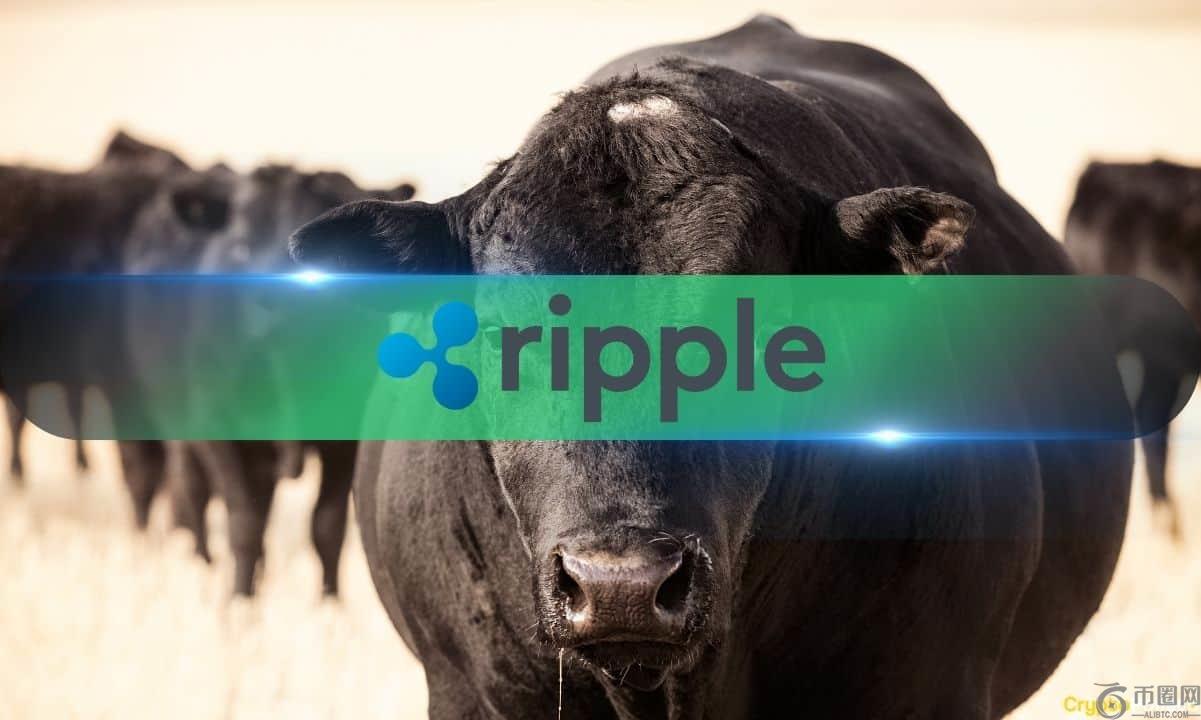 XRP创下7年新高之际，高价值交易和持有人增长创下历史新高