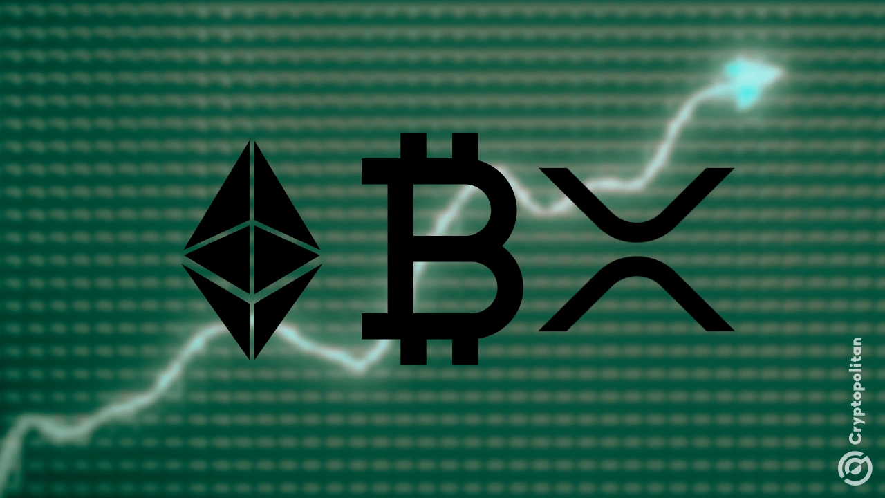 2025年加密货币趋势：以太币、XRP、比特币引领钱包增长；但谁输了？