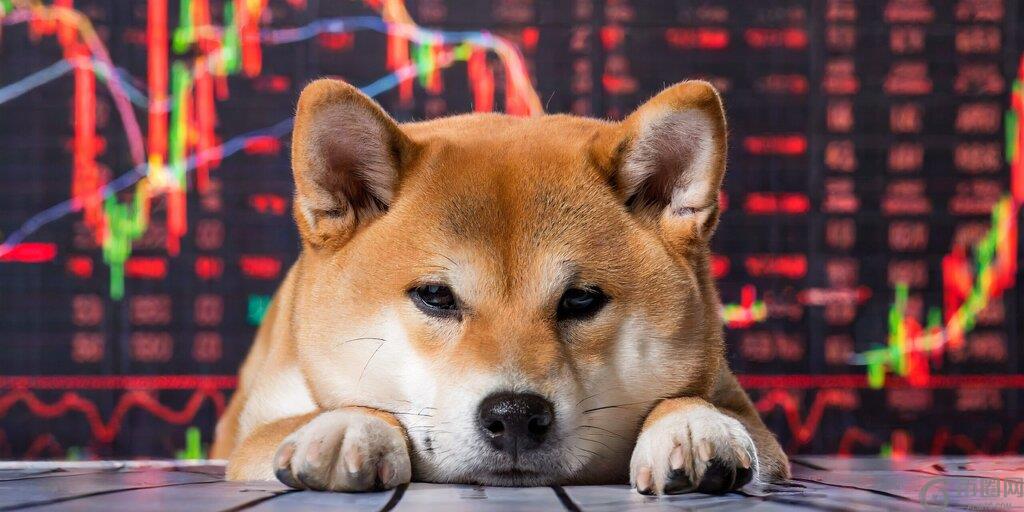 Dogecoin Gives Up All of Its 2025 Gains as Bitcoin, Solana Keep Falling