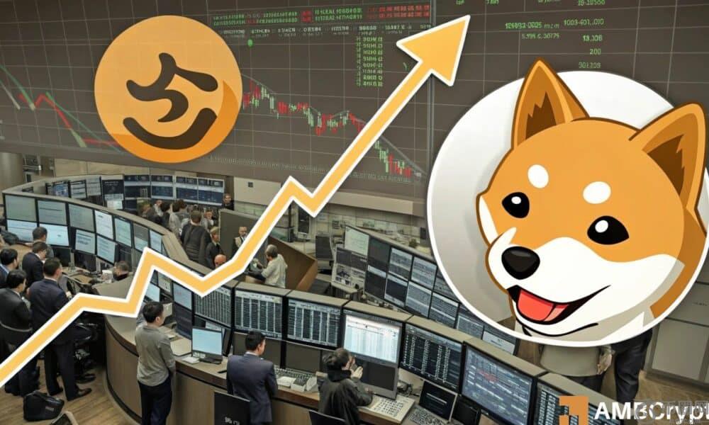 Shiba Inu的资金外流可能会对SHIB的价值产生影响！