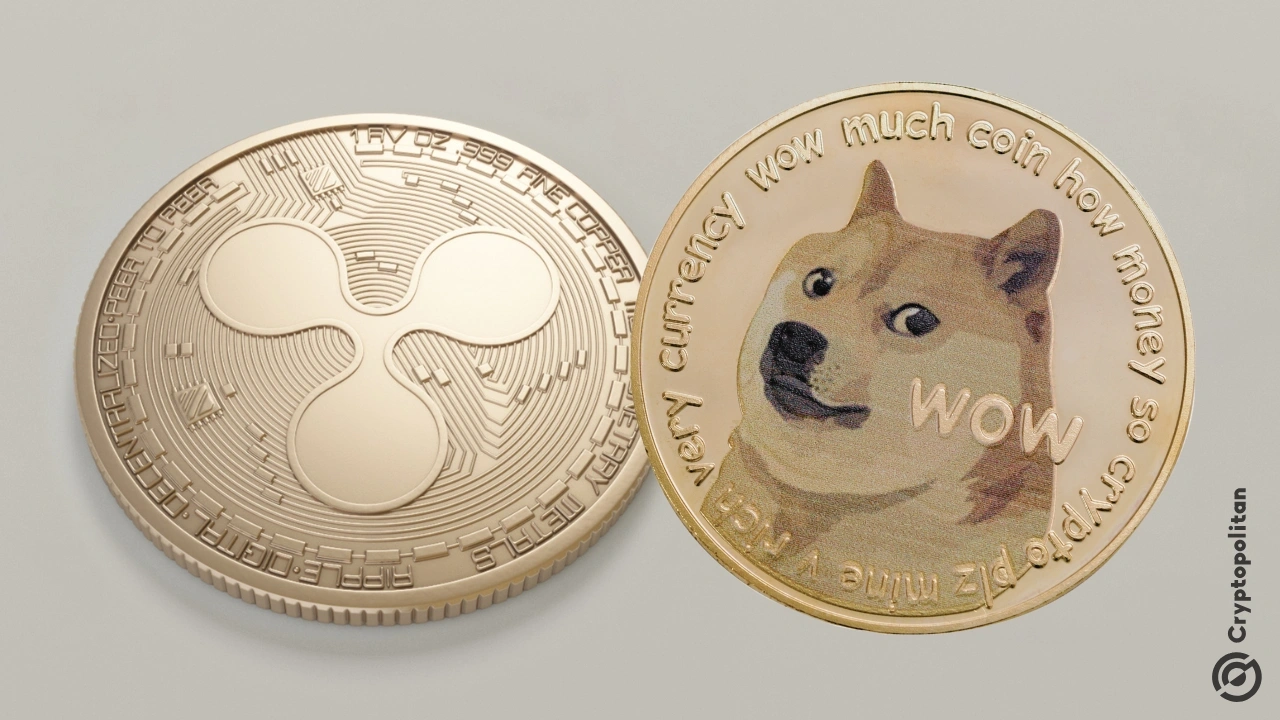 随着牛市的回归，加密货币影响者Ansem将DOGE、XRP列为主流类别