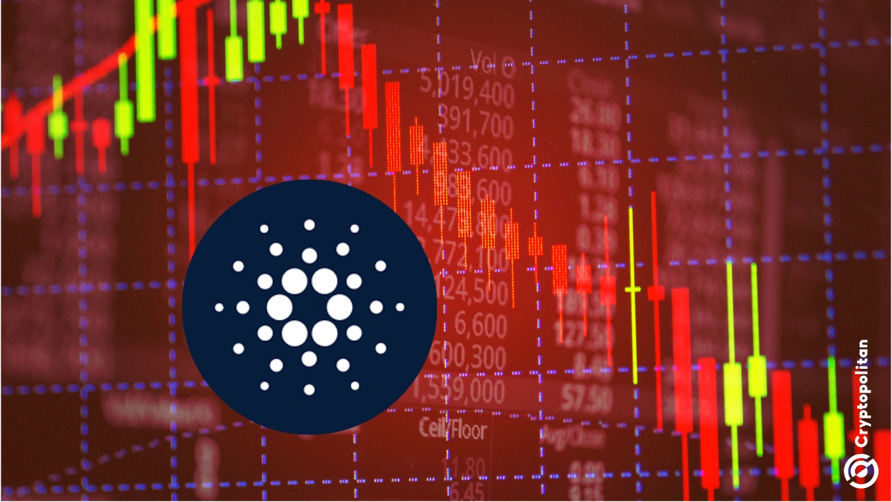 Cardano leads the market decline - Why is ADA down today?