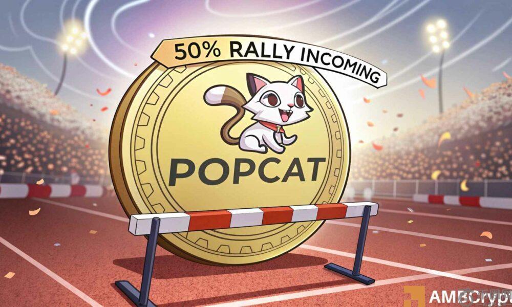 为什么POPCAT交易员在最近一次突破后有望上涨50%