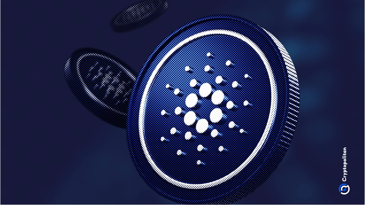 Cardano（ADA）通过Plomin硬叉激活技术取得进展