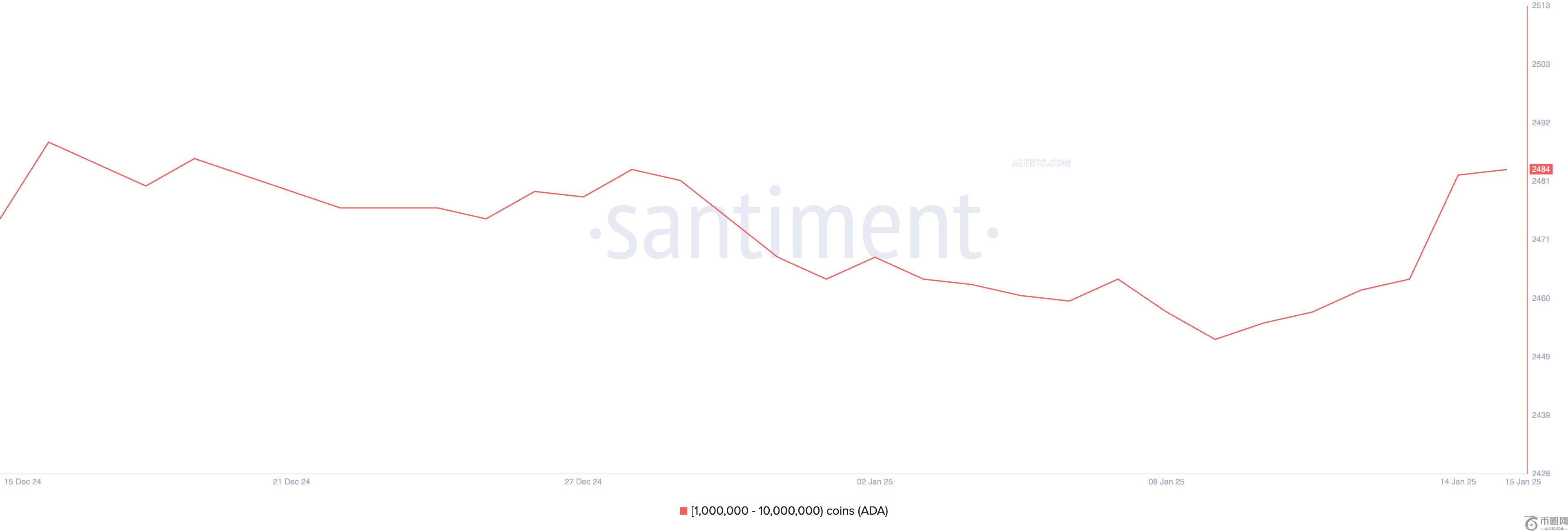 ADA币价格在鲸鱼稳步增持中飙升7%