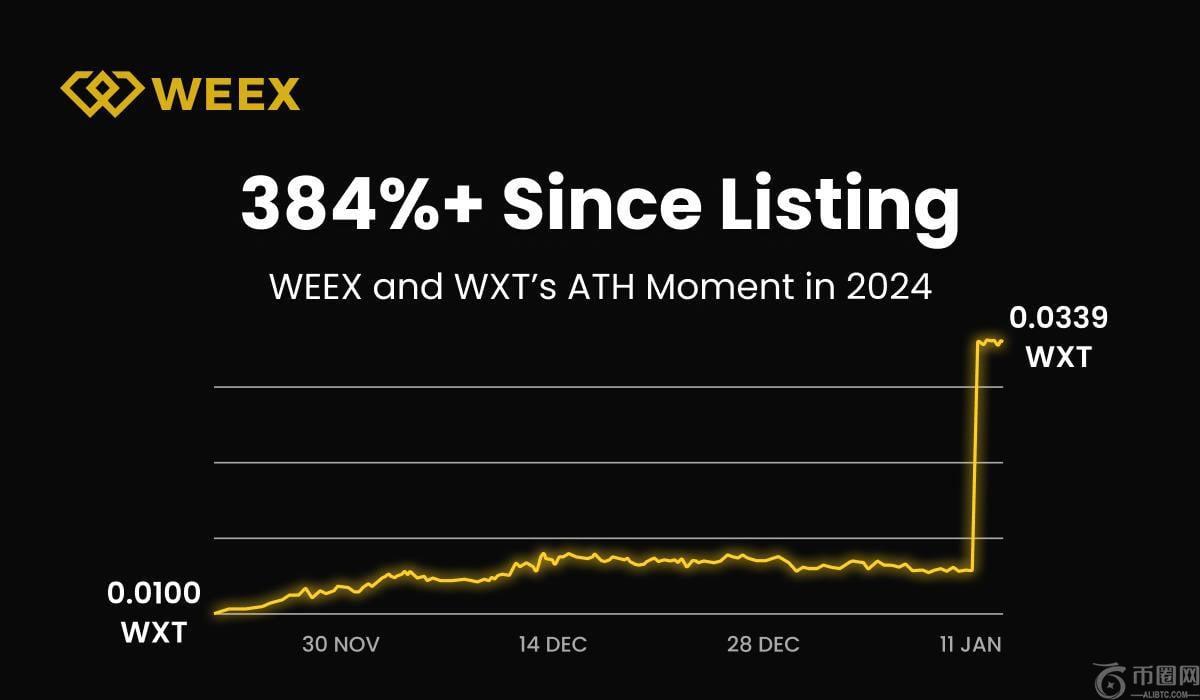 WEEX 2024年度报告：用户超过500万，日交易量超过50亿美元，团队扩大到500人