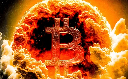 比特币BTC最忠实的支持者是谁？