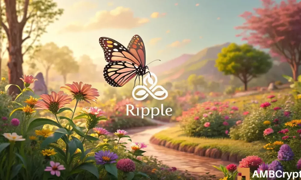 鲸鱼狂热：48小时内累积的10亿XRP意味着这是价格！