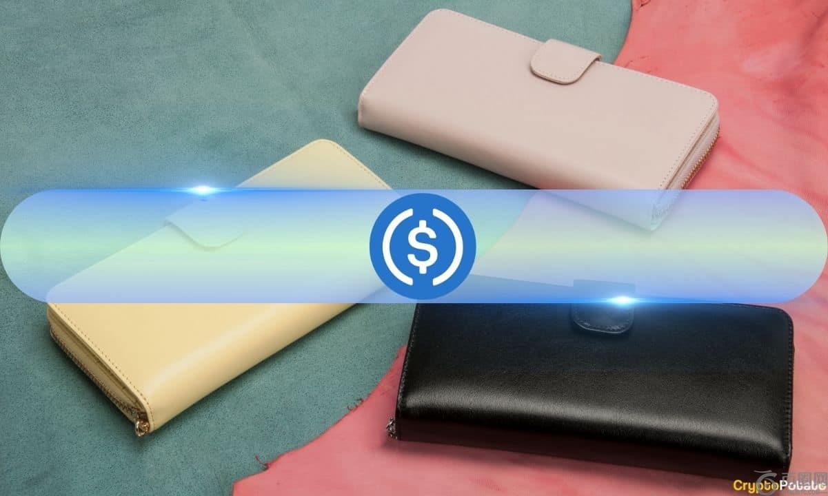 2024年USDC流通量增长78%：报告