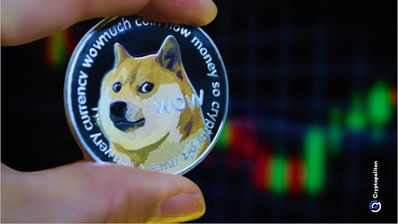 狗狗币（DOGE）在ETF讨论中爆发，鲸鱼正在积累