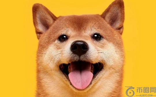狗狗币（DOGE）年牛市铁证：连涨三月？能否复刻2021年罕见暴涨行情？