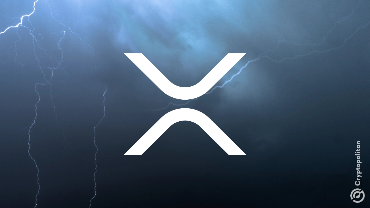 XRP鲸鱼引发12%的飙升，因为价格接近2018年前的水平