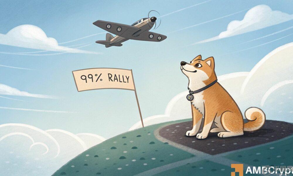 重复2024年的模式可以帮助Shiba Inu上涨99%