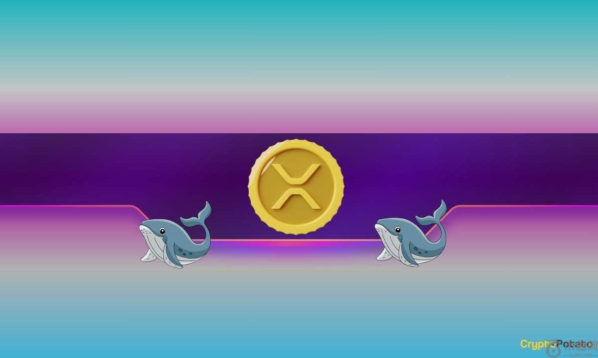 当鲸鱼继续购买时，瑞波币（XRP）和狗狗币（DOGE）的价格会如何反应？