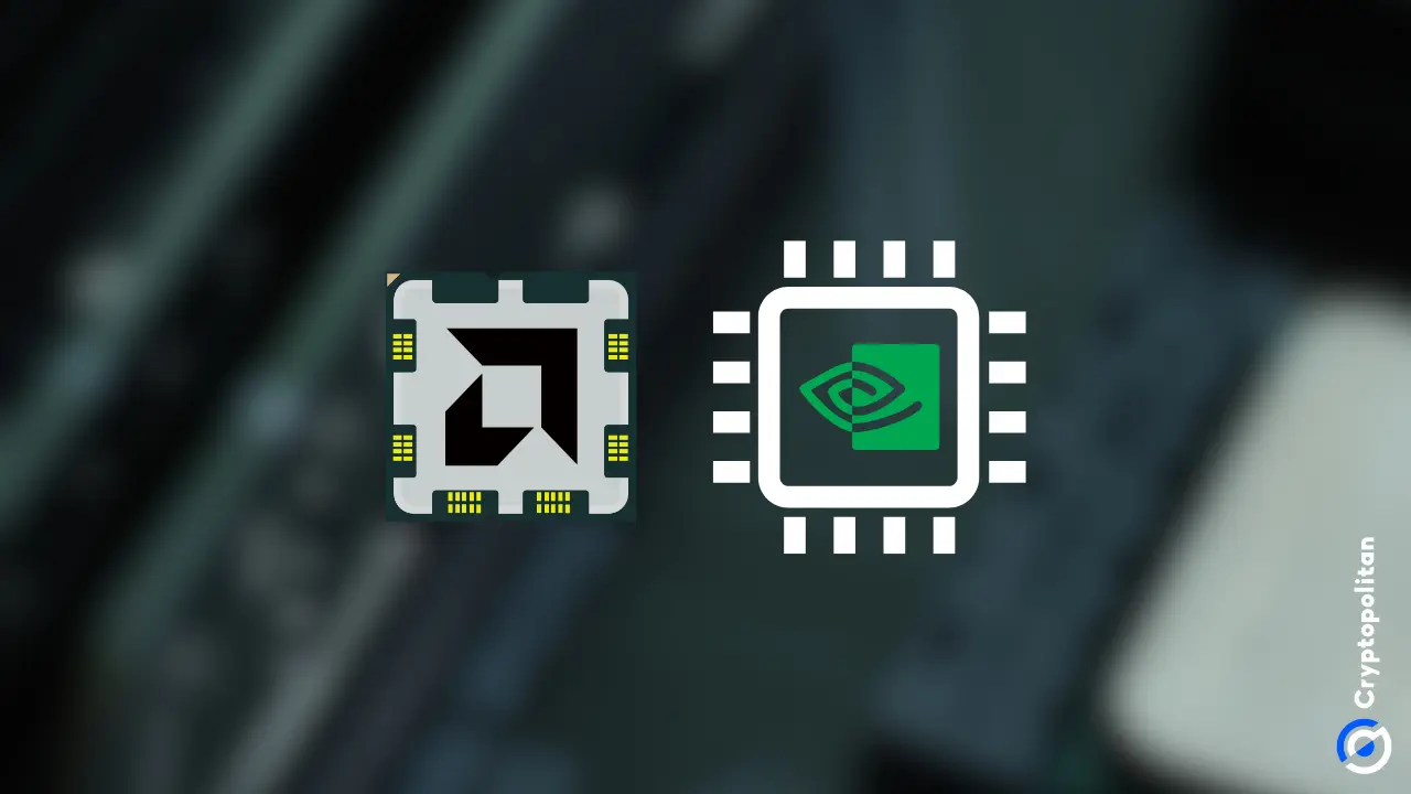Netherlands in talks with Nvidia and AMD to supply hardware