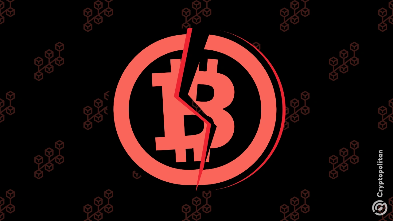 统一代币标准，简化比特币生态系统