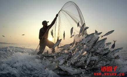 GSR提交DAT ETF，收罗加密储备企业公司